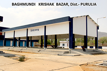 Auction Platform,Bagmundi Block Seed Farm Krishak Bazar